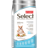 Picart Select Puppy Starter Pollo & Arroz